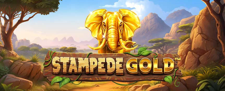 Join the herd and stampede your way across five reels filled with promise. Spinning the reels of Stampede Gold not only takes you on an African adventure, but it also puts you in line for wins worth a whopping 10,127x your bet.