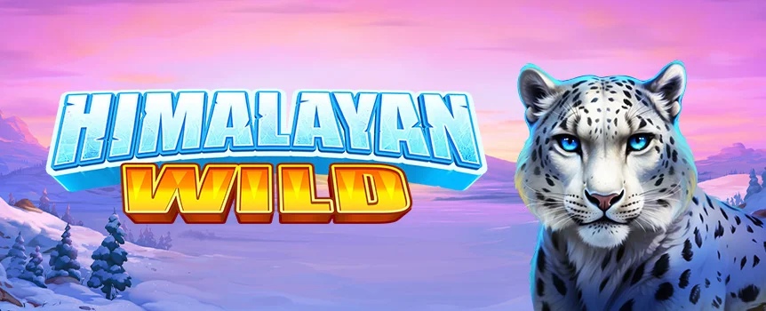 Trek through the world’s most glorious mountain peaks to collect Multipliers and Bonus Symbols on your way to a Max Win of x10,000 your stake in Himalayan Wild.